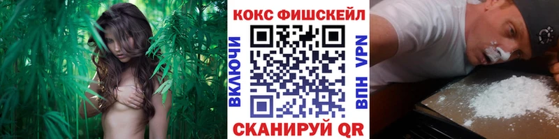 МЕГА ссылка  Чебоксары  Кокаин Columbia 