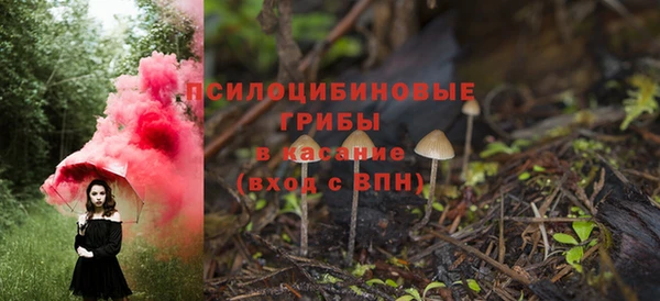 спиды Гусев